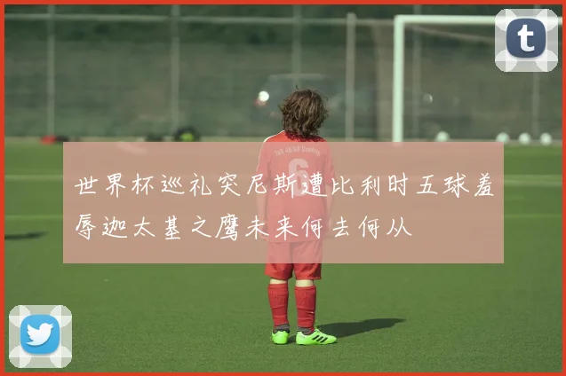 世界杯巡礼突尼斯遭比利时五球羞辱迦太基之鹰未来何去何从