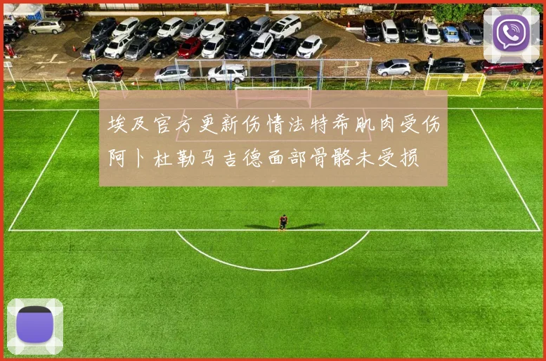 埃及官方更新伤情法特希肌肉受伤阿卜杜勒马吉德面部骨骼未受损