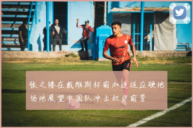 张之臻在戴维斯杯前加速适应硬地场地展望中国队冲击积分前景